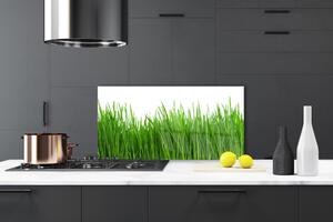 Kuchyňský skleněný panel Tráva Rostlina Příroda 125x50 cm