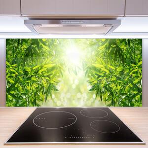 Kuchyňský skleněný panel Listy Příroda Rostlina 100x50 cm