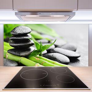 Kuchyňský skleněný panel Bambus Kameny Rostlina 100x50 cm