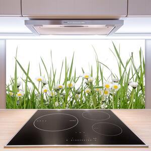 Kuchyňský skleněný panel Tráva Sedmikrásky Příroda 125x50 cm