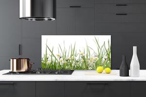 Kuchyňský skleněný panel Tráva Sedmikrásky Příroda 125x50 cm