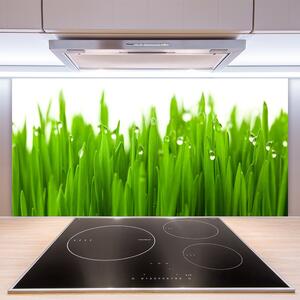 Kuchyňský skleněný panel Tráva Příroda Rostlina 140x70 cm
