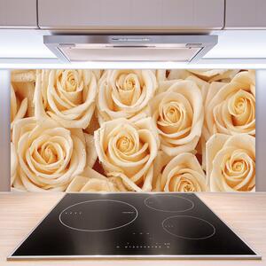 Kuchyňský skleněný panel Růže Květiny Rostlina 100x50 cm