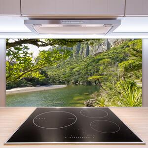 Kuchyňský skleněný panel Jezero Příroda 100x50 cm