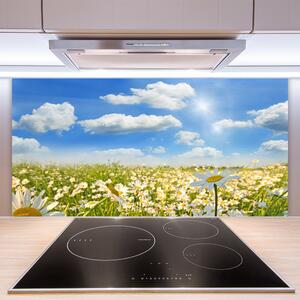 Skleněné obklady do kuchyně Louka Sedmikrásky Příroda 140x70 cm