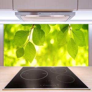 Kuchyňský skleněný panel Listy 125x50 cm