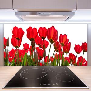Kuchyňský skleněný panel Květiny 120x60 cm