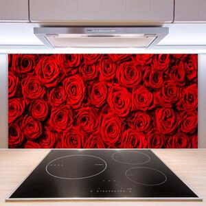 Kuchyňský skleněný panel Růže 100x50 cm
