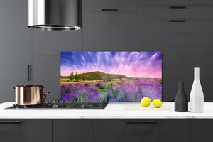 Kuchyňský skleněný panel Louka Květiny Hory Příroda 125x50 cm