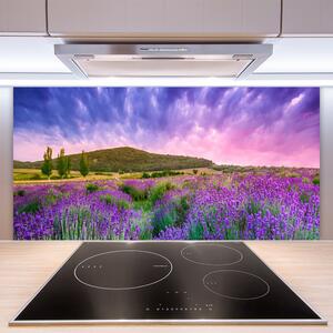Kuchyňský skleněný panel Louka Květiny Hory Příroda 125x50 cm