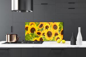 Kuchyňský skleněný panel Slunečnice 120x60 cm