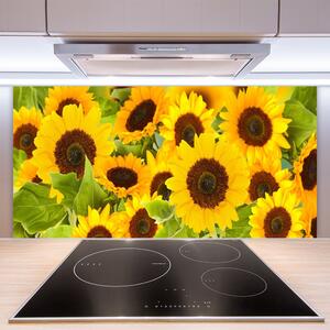 Kuchyňský skleněný panel Slunečnice 140x70 cm