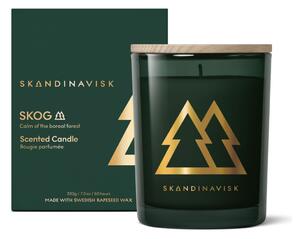 Vonná svíčka SKOG Gold 200 g Skandinavisk