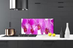 Kuchyňský skleněný panel Květiny Rostlina Příroda 125x50 cm