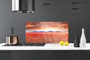Kuchyňský skleněný panel Poušť Krajina 100x50 cm