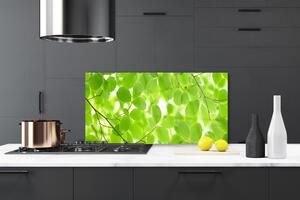 Kuchyňský skleněný panel Listy Příroda 125x50 cm