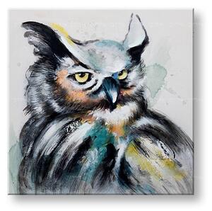 Malovaný nástěnný obraz Sova 1 díl 60x60 cm CWF1279HE1