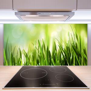 Kuchyňský skleněný panel Tráva Příroda 140x70 cm