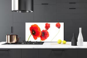 Kuchyňský skleněný panel Květiny Rostlina 125x50 cm