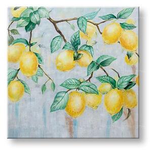 Malovaný nástěnný obraz CITRONY 1 díl 60x60 cm CWF1840SDE1