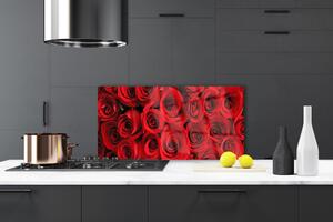 Kuchyňský skleněný panel Růže Květiny 125x50 cm