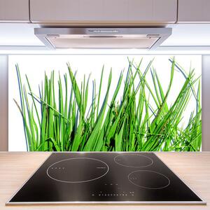 Kuchyňský skleněný panel Tráva 100x50 cm