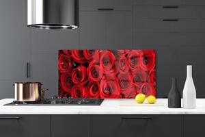 Kuchyňský skleněný panel Růže Květiny 120x60 cm