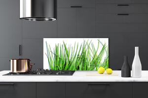 Kuchyňský skleněný panel Tráva 100x50 cm