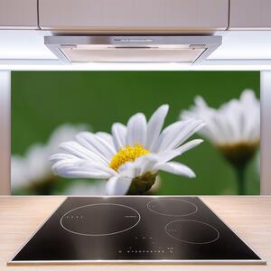 Kuchyňský skleněný panel Sedmikráska 125x50 cm