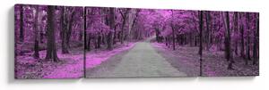 Obraz - Cesta parkem (170x50 cm)