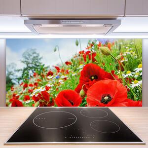 Kuchyňský skleněný panel Květiny Příroda 100x50 cm