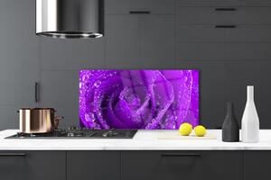 Kuchyňský skleněný panel Růže Květ 125x50 cm