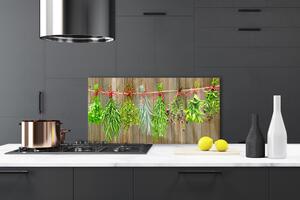 Skleněné obklady do kuchyně Sušené Byliny Listy Příroda 100x50 cm