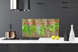 Skleněné obklady do kuchyně Sušené Byliny Listy Příroda 100x50 cm