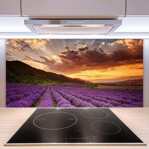 Skleněné obklady do kuchyně Pole Levandule Západ Slunce 125x50 cm