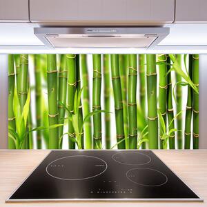 Skleněné obklady do kuchyně Bambusové Výhonky Listy Bambus 140x70 cm