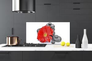 Skleněné obklady do kuchyně Květiny Gerbery Kameny Zen 140x70 cm