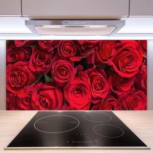 Skleněné obklady do kuchyně Červené Růže Květiny Příroda 140x70 cm
