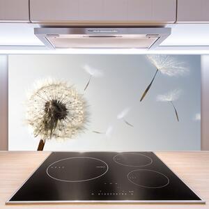 Skleněné obklady do kuchyně Pampeliška Květiny Příroda 125x50 cm