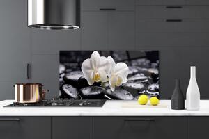 Skleněné obklady do kuchyně Kameny Zen Bílá Orchidej 125x50 cm