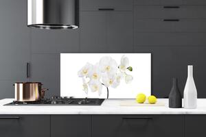 Skleněné obklady do kuchyně Bílá Orchidej Květiny 140x70 cm