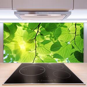 Skleněné obklady do kuchyně Listy Příroda Rostlina 125x50 cm