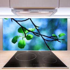 Skleněné obklady do kuchyně Větev Listy Rostlina Příroda 125x50 cm