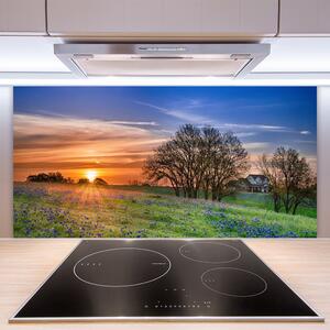 Skleněné obklady do kuchyně Louka Slunce Krajina 125x50 cm