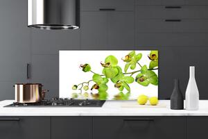 Kuchyňský skleněný panel Květiny Rostlina Příroda 120x60 cm