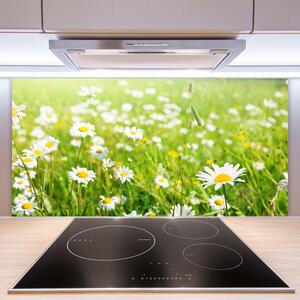 Kuchyňský skleněný panel Louka Sedmikrásky Příroda 125x50 cm