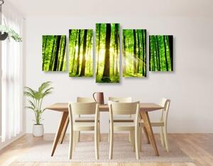5-dílný obraz svěží zelený les - 100x50 cm