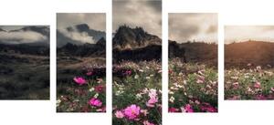 5-dílný obraz louka kvetoucích květin - 100x50 cm