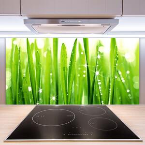 Kuchyňský skleněný panel Tráva Rostlina Příroda 100x50 cm