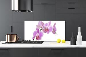 Kuchyňský skleněný panel Květiny Rostlina Příroda 125x50 cm